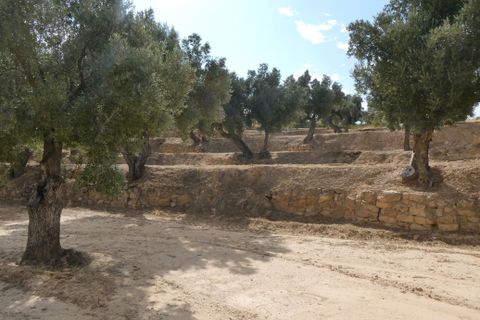 Finca i Calaceite, Teruel, Calaceite - € 7.500 | Ref: 1089 - foto 9