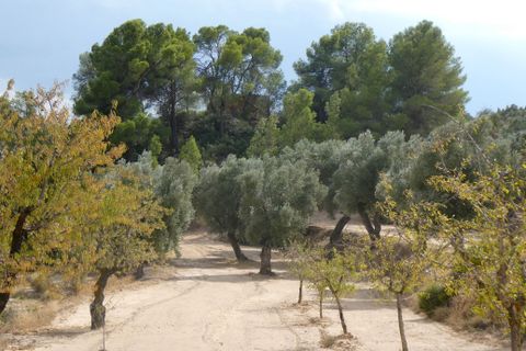 Finca i Calaceite, Teruel, Calaceite - € 7.500 | Ref: 1089 - foto 8