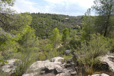 Finca i Calaceite, Teruel, Calaceite - € 7.500 | Ref: 1089 - foto 28