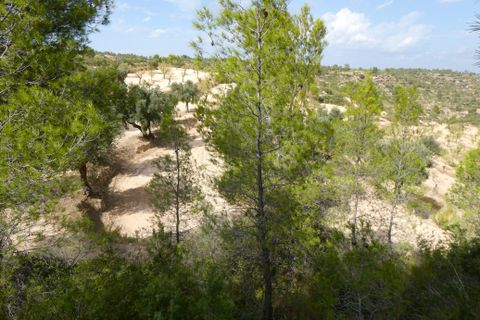 Finca i Calaceite, Teruel, Calaceite - € 7.500 | Ref: 1089 - foto 17