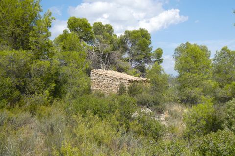 Finca i Calaceite, Teruel, Calaceite - € 7.500 | Ref: 1089 - foto 30