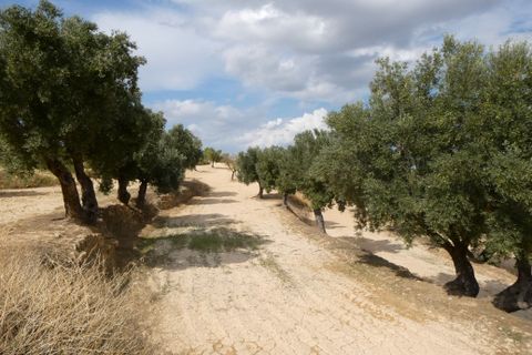 Finca i Calaceite, Teruel, Calaceite - € 7.500 | Ref: 1089 - foto 12