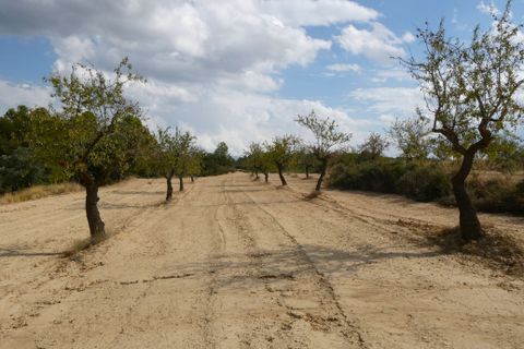 Finca i Calaceite, Teruel, Calaceite - € 7.500 | Ref: 1089 - foto 35