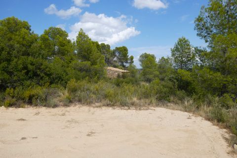 Finca i Calaceite, Teruel, Calaceite - € 7.500 | Ref: 1089 - foto 31