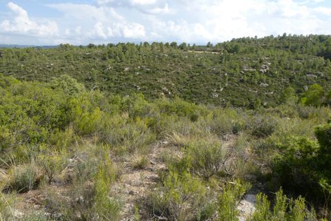 Finca i Calaceite, Teruel, Calaceite - € 7.500 | Ref: 1089 - foto 27