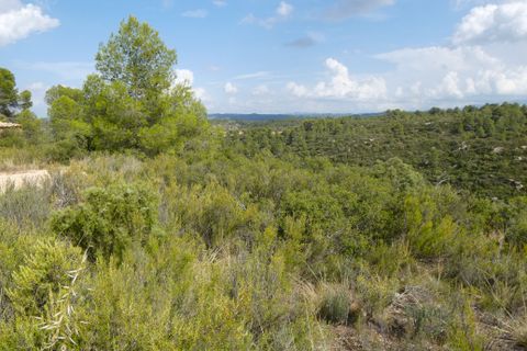 Finca i Calaceite, Teruel, Calaceite - € 7.500 | Ref: 1089 - foto 29
