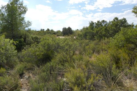 Finca i Calaceite, Teruel, Calaceite - € 7.500 | Ref: 1089 - foto 19