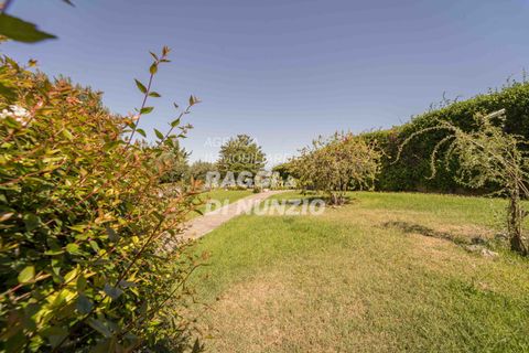 Villa a Grottaferrata, Rome, Grottaferrata - € 890.000 | Ref: 202 - foto 4