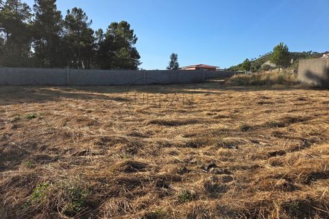 Helårsgrund i Cabacos, Viseu, Cabacos - € 18.000 | Ref: 0169 - foto 2