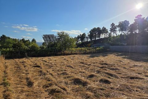 Helårsgrund i Cabacos, Viseu, Cabacos - € 18.000 | Ref: 0169 - foto 3