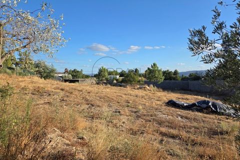 Helårsgrund i Cabacos, Viseu, Cabacos - € 18.000 | Ref: 0169 - foto 6