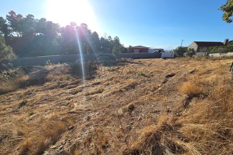 Helårsgrund i Cabacos, Viseu, Cabacos - € 18.000 | Ref: 0169 - foto 9
