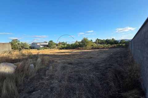 Helårsgrund i Cabacos, Viseu, Cabacos - € 18.000 | Ref: 0169 - foto 11