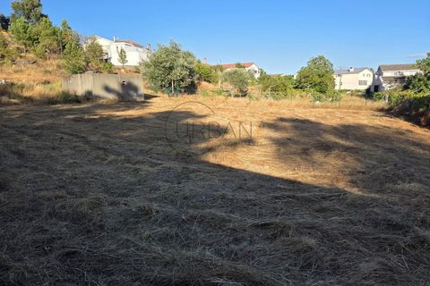 Helårsgrund i Cabacos, Viseu, Cabacos - € 18.000 | Ref: 0169 - foto 12