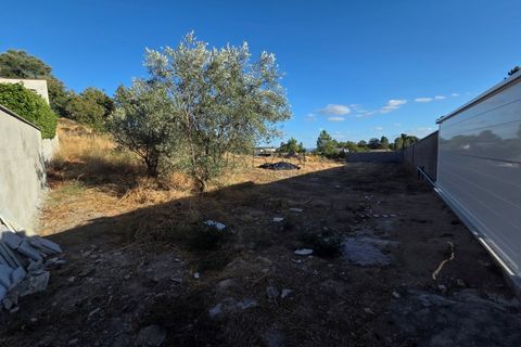 Helårsgrund i Cabacos, Viseu, Cabacos - € 18.000 | Ref: 0169 - foto 13