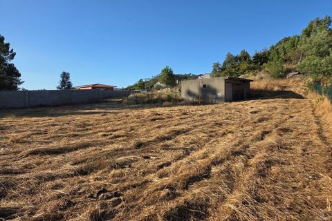 Helårsgrund i Cabacos, Viseu, Cabacos - € 18.000 | Ref: 0169 - foto 14