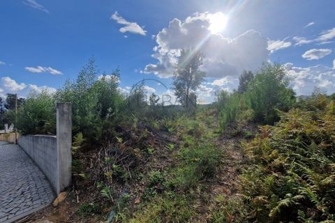 Helårsgrund i Cavernaes, Viseu, Cavernaes - € 55.000 | Ref: UM2093 - foto 2