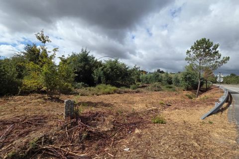 Tomt i Abraveses, Viseu, Abraveses - € 750 000 | Ref: 0135 - foto 3