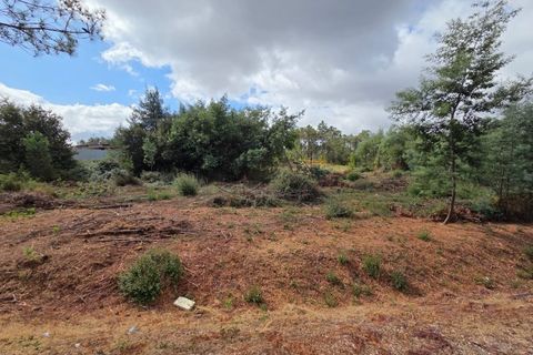 Tomt i Abraveses, Viseu, Abraveses - € 750 000 | Ref: 0135 - foto 4
