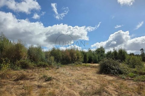 Tomt i Abraveses, Viseu, Abraveses - € 750 000 | Ref: 0135 - foto 5