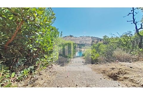 Villa a Almodovar, Beja, Almodovar - € 369.000 | Ref: HAB_228 - foto 30