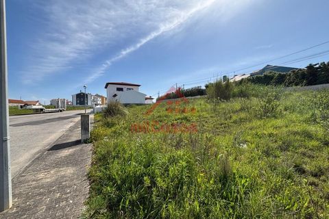 Helårsgrund i Mafra, Lisbon, Mafra - € 140.000 | Ref: M2519 - foto 13