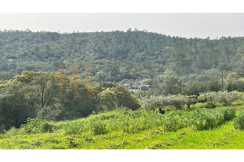 Helårsgrund i Benafim, Faro, Benafim - € 25.000 | Ref: BYS-1089 - foto 2