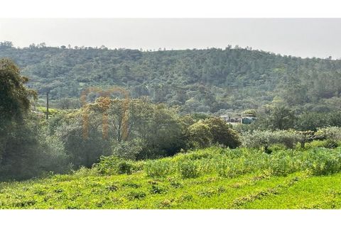 Helårsgrund i Benafim, Faro, Benafim - € 25.000 | Ref: BYS-1089 - foto 3