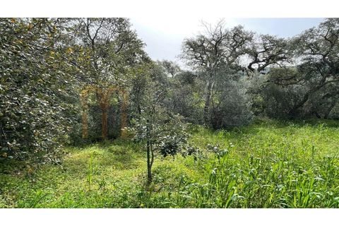 Helårsgrund i Benafim, Faro, Benafim - € 25.000 | Ref: BYS-1089 - foto 4