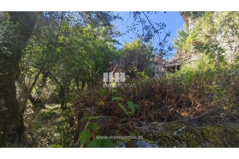 Landejendom i Arcos de Valdevez, Viana do Castelo, Arcos de Valdevez - € 138.000 | Ref: VCC14590 - foto 11