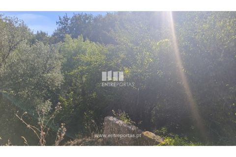 Landejendom i Arcos de Valdevez, Viana do Castelo, Arcos de Valdevez - € 138.000 | Ref: VCC14590 - foto 12
