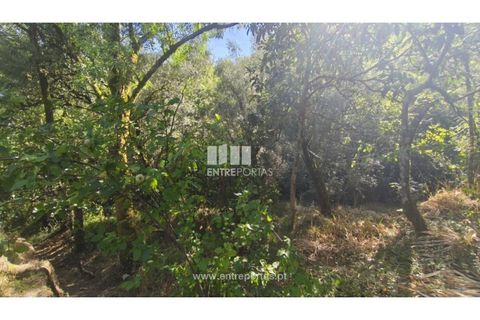 Landejendom i Arcos de Valdevez, Viana do Castelo, Arcos de Valdevez - € 138.000 | Ref: VCC14590 - foto 13