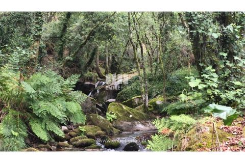 Landejendom i Arcos de Valdevez, Viana do Castelo, Arcos de Valdevez - € 138.000 | Ref: VCC14590 - foto 15