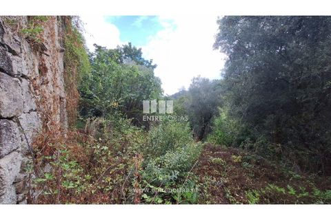 Landejendom i Arcos de Valdevez, Viana do Castelo, Arcos de Valdevez - € 138.000 | Ref: VCC14590 - foto 28