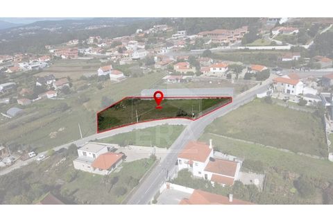 Helårsgrund i Esposende, Braga, Esposende - € 175.000 | Ref: 039250140 - foto 9