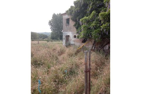 Gård i Abrantes, Santarem, Abrantes - € 79 900 | Ref: MAS_1420 - foto 4