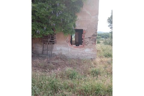 Gård i Abrantes, Santarem, Abrantes - € 79 900 | Ref: MAS_1420 - foto 5
