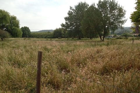 Gård i Abrantes, Santarem, Abrantes - € 79 900 | Ref: MAS_1420 - foto 7