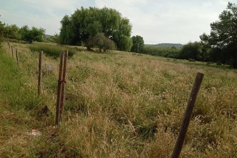 Gård i Abrantes, Santarem, Abrantes - € 79 900 | Ref: MAS_1420 - foto 8