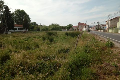 Gård i Abrantes, Santarem, Abrantes - € 79 900 | Ref: MAS_1420 - foto 9