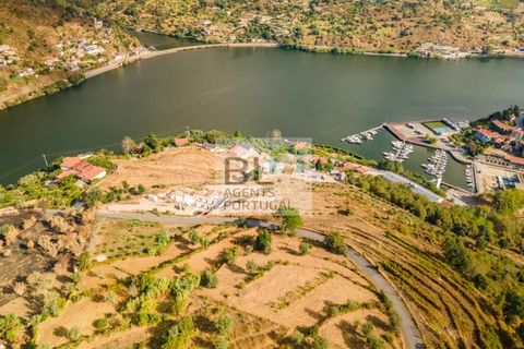 Terra a Resende, Viseu, Resende - € 260.000 | Ref: SÒL_744 - foto 2