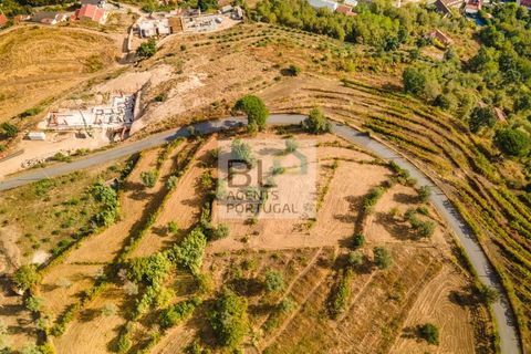 Terra a Resende, Viseu, Resende - € 260.000 | Ref: SÒL_744 - foto 5