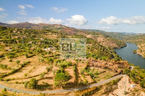 Terra a Resende, Viseu, Resende - € 260.000 | Ref: SÒL_744 - foto 6