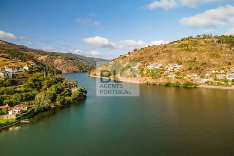 Terra a Resende, Viseu, Resende - € 260.000 | Ref: SÒL_744 - foto 10