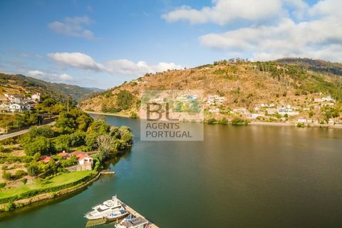 Terra a Resende, Viseu, Resende - € 260.000 | Ref: SÒL_744 - foto 11