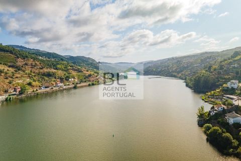 Terra a Resende, Viseu, Resende - € 260.000 | Ref: SÒL_744 - foto 13