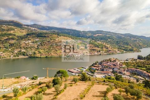 Terra a Resende, Viseu, Resende - € 260.000 | Ref: SÒL_744 - foto 14
