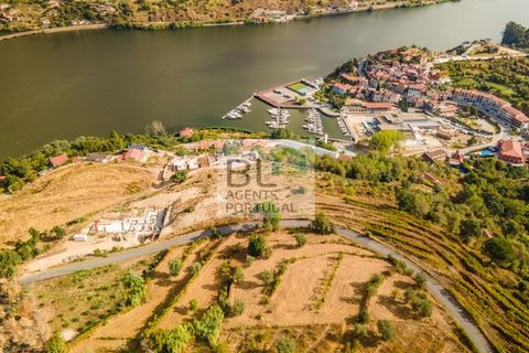 Terra a Resende, Viseu, Resende - € 260.000 | Ref: SÒL_744 - foto 15