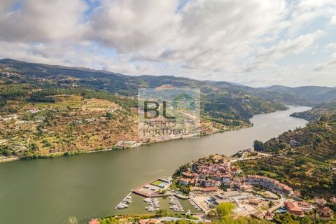 Terra a Resende, Viseu, Resende - € 260.000 | Ref: SÒL_744 - foto 16