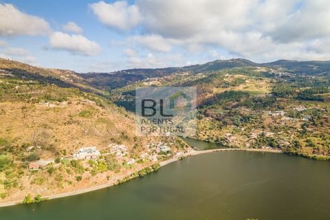 Terra a Resende, Viseu, Resende - € 260.000 | Ref: SÒL_744 - foto 17